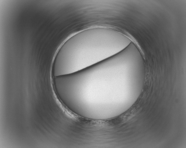 X0000075910811200609151036