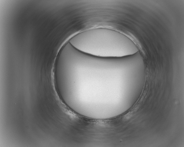 X0000075910814200609151036