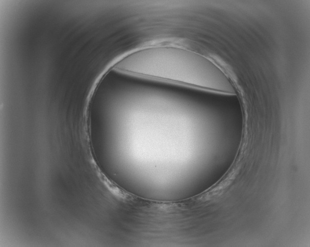 X0000075910816200609151036