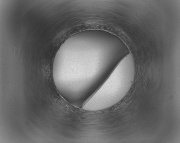 X0000075910821200609151036
