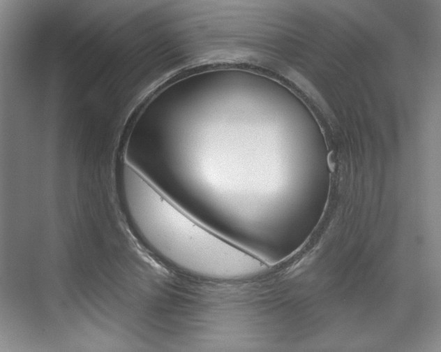X0000075910834200609151036