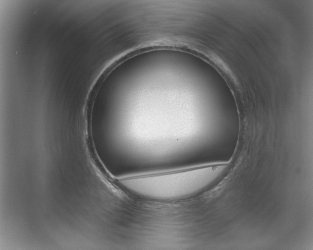 X0000075910838200609151036