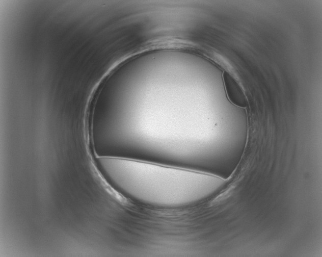 X0000075910843200609151036