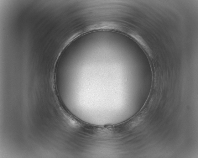 X0000075910850200609151036