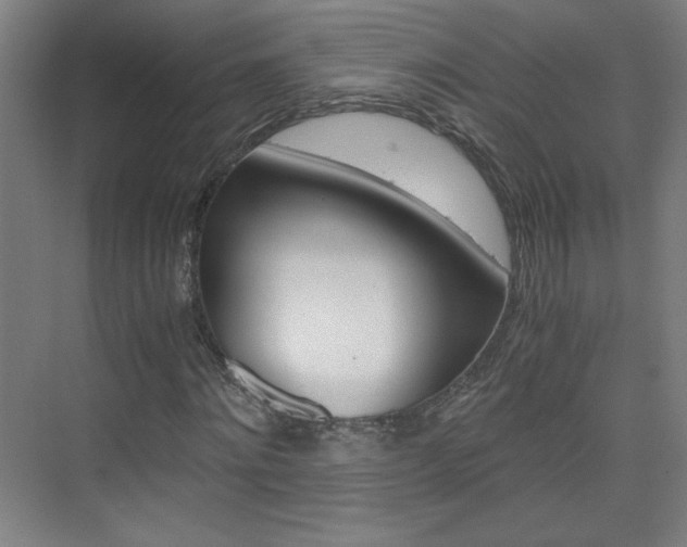X0000075910868200609151035