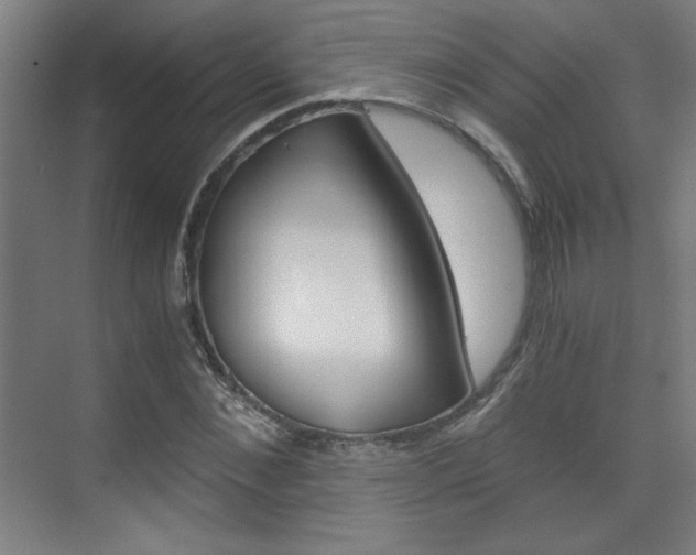 X0000075910876200609151035