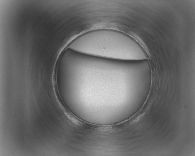 X0000075910893200609151035