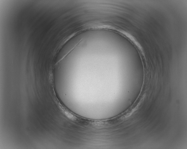 X0000075910897200609151035