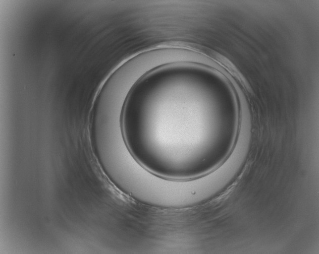 X0000075910908200609151035