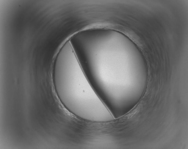 X0000075910912200609151035