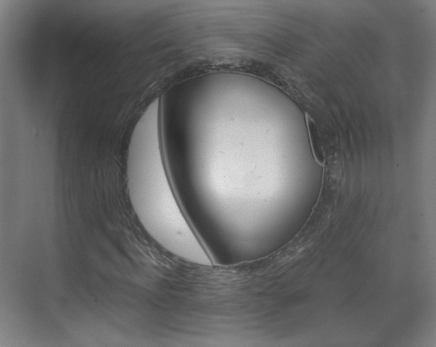 X0000075910916200609151034