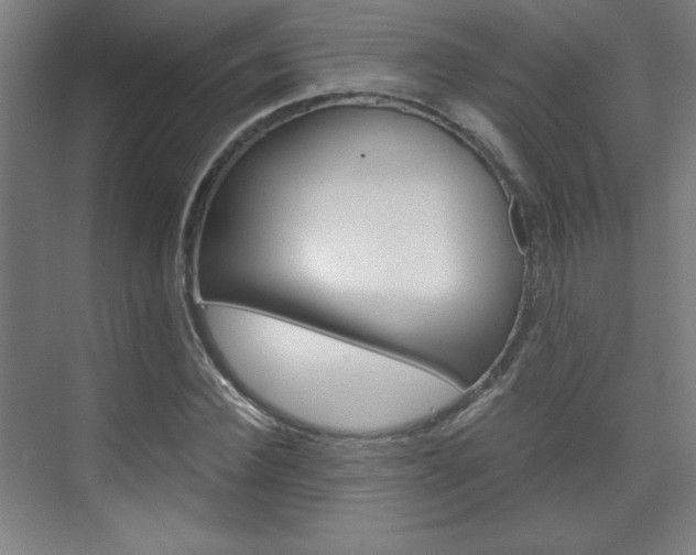 X0000075910924200609151034