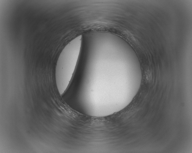 X0000075910964200609151034