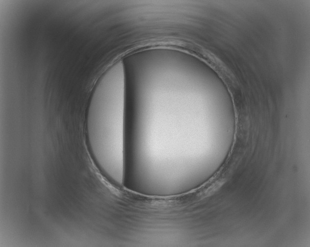 X0000075910985200609151034