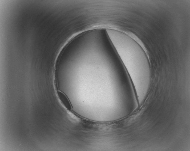 X0000075911005200609151033