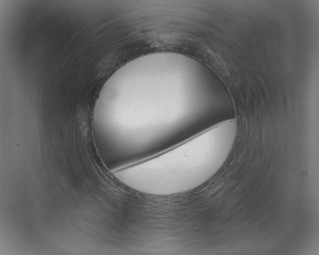 X0000075911012200609151032