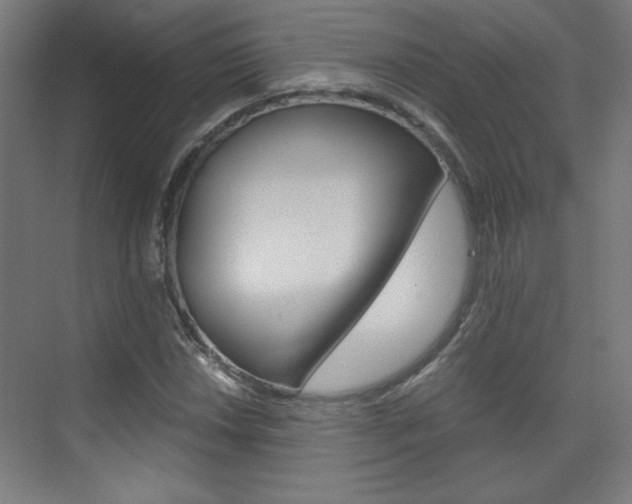 X0000075911018200609151032