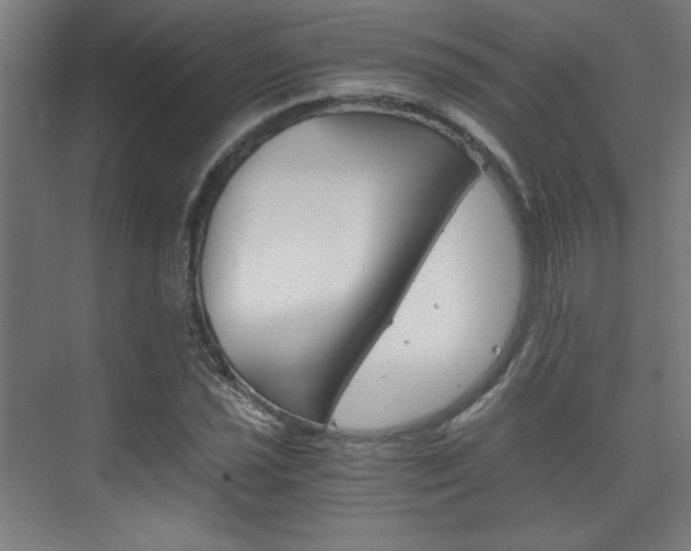 X0000075911021200609151033