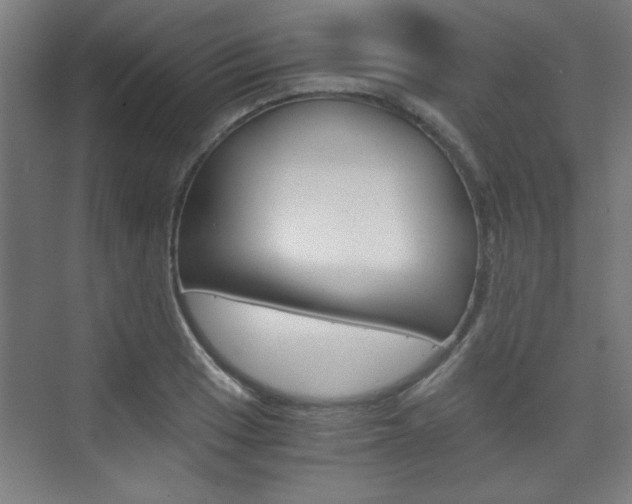 X0000075911033200609151033