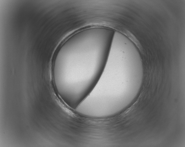 X0000075911036200609151033