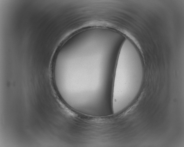 X0000075911037200609151033