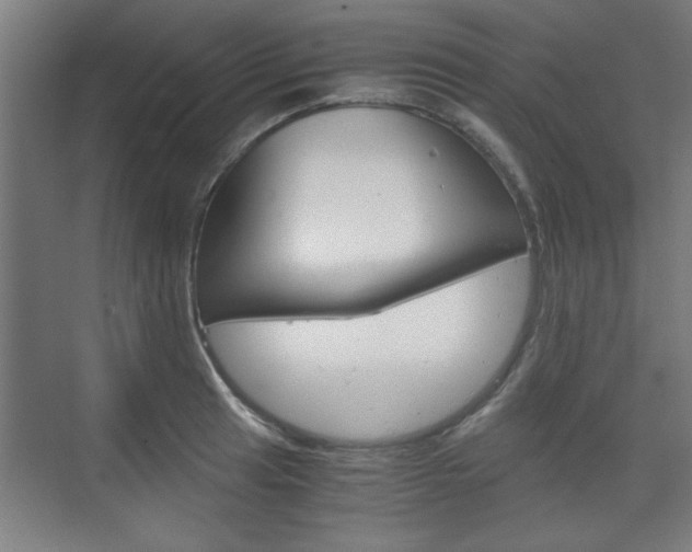 X0000075911041200609151033