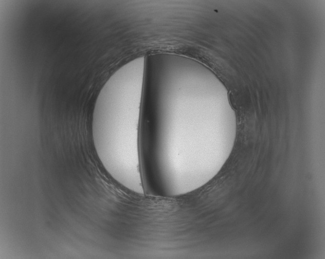 X0000075911058200609151032