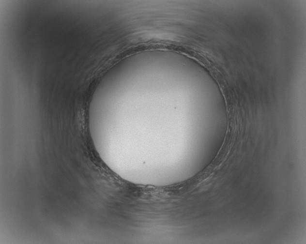 X0000075911061200609151032