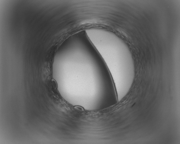 X0000075911062200609151032