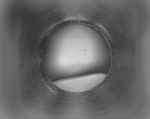 X0000075911064200609151032