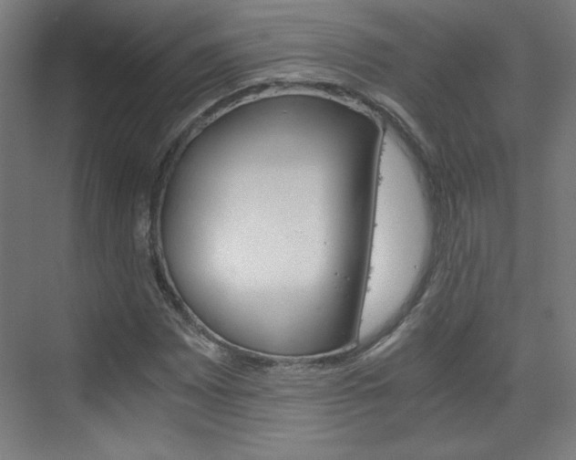 X0000075911065200609151032