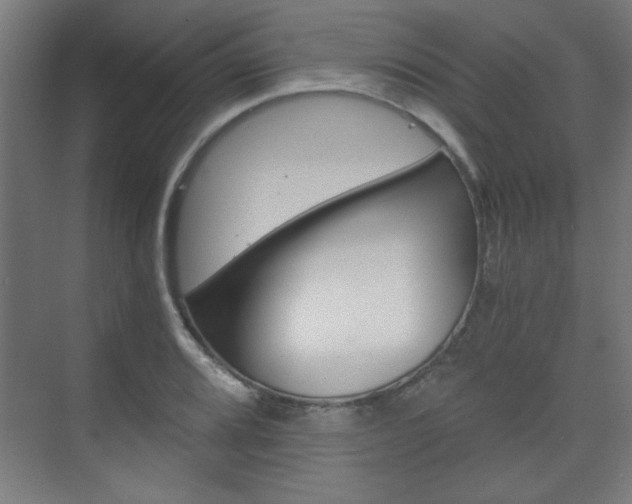 X0000075911080200609151032