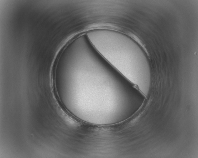 X0000075911082200609151032