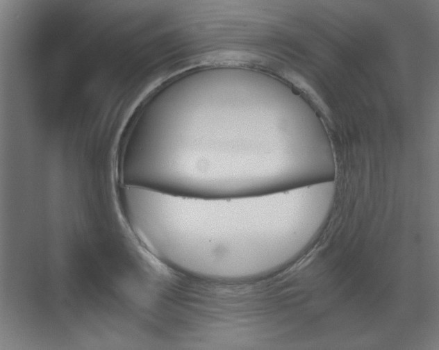 X0000075911083200609151032