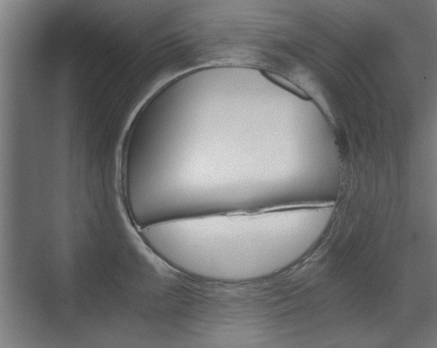 X0000075911099200609151032