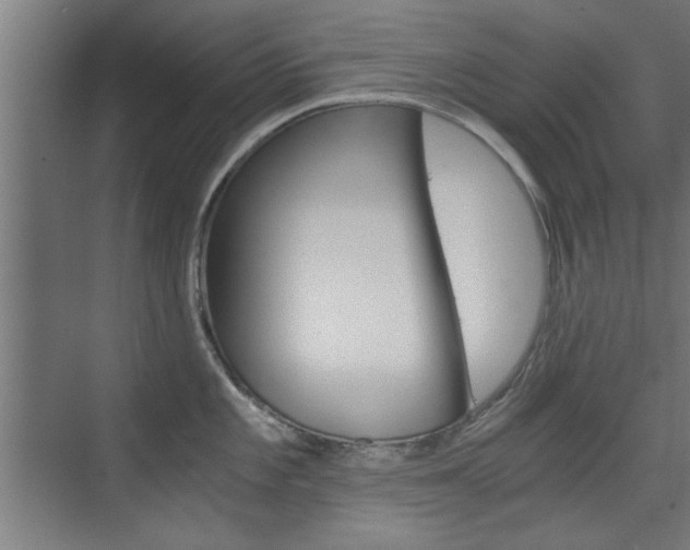 X0000075911101200609151032