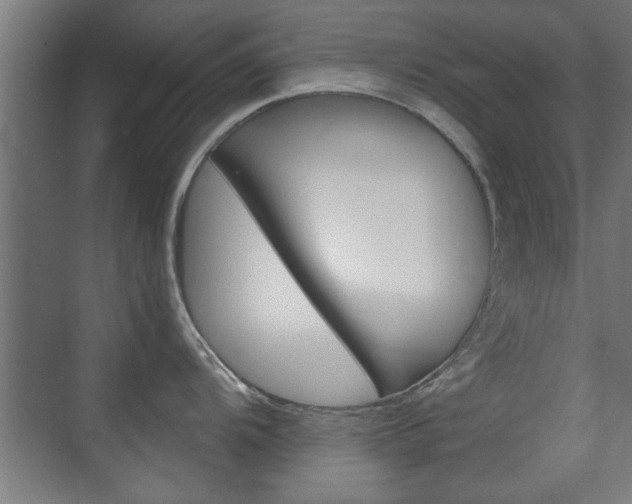 X0000075911104200609151032