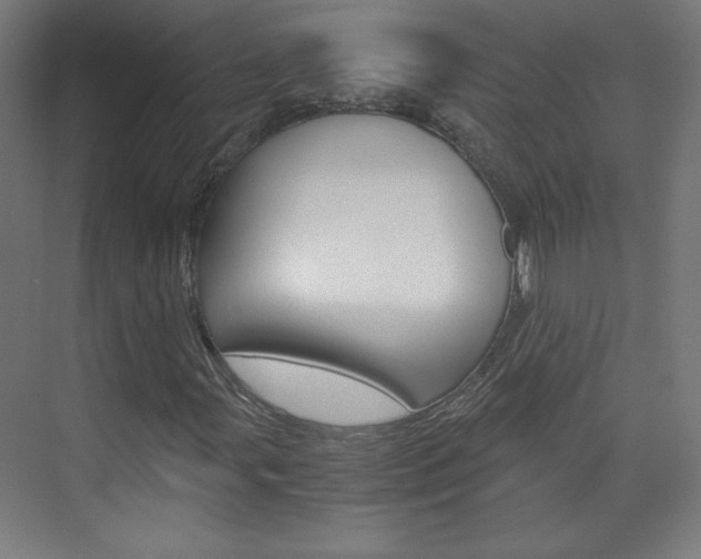 X0000075911107200609151031