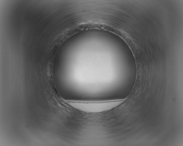X0000075911110200609151031