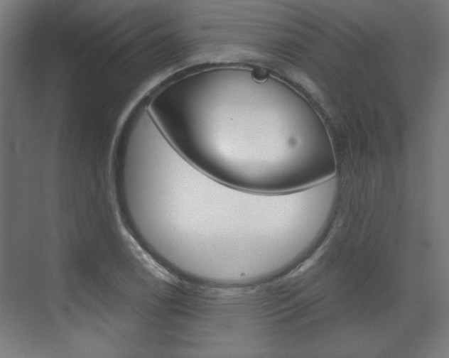 X0000075911122200609151031