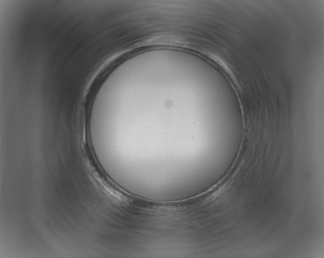 X0000075911123200609151031