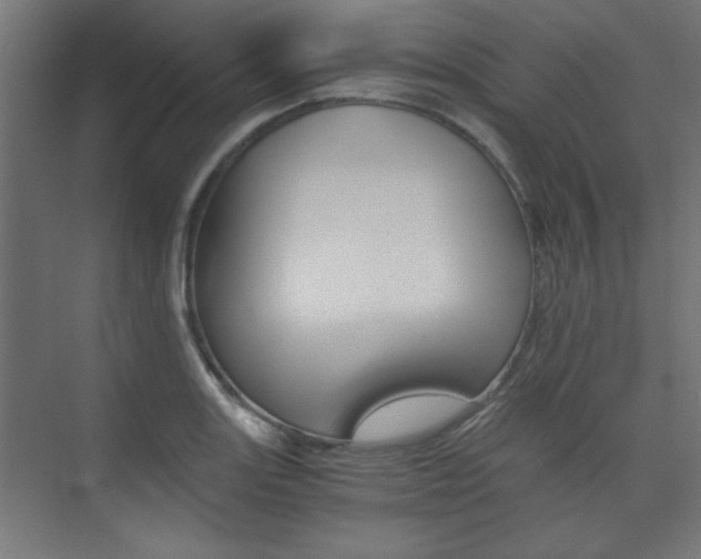 X0000075911131200609151031