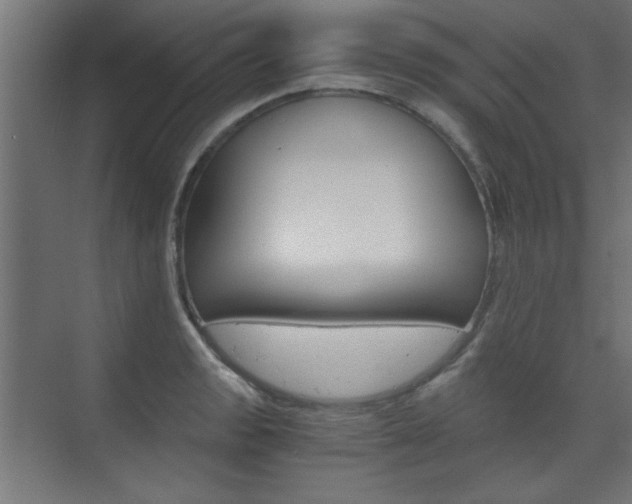 X0000075911133200609151031