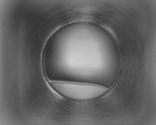 X0000075911135200609151031