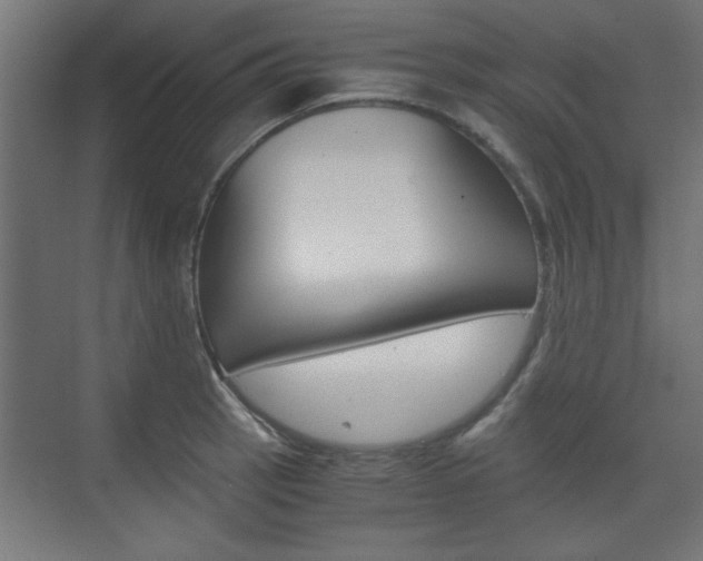 X0000075911137200609151031