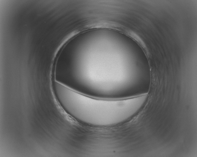 X0000075911138200609151031