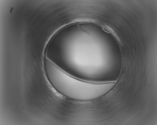 X0000075911140200609151031