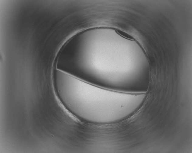 X0000075911142200609151031