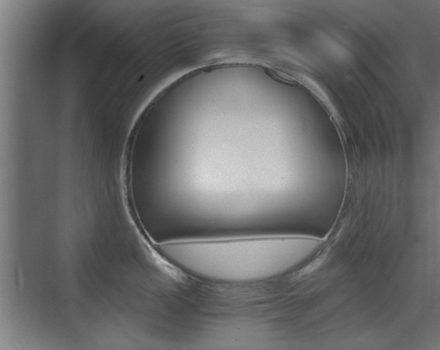X0000075911149200609151031