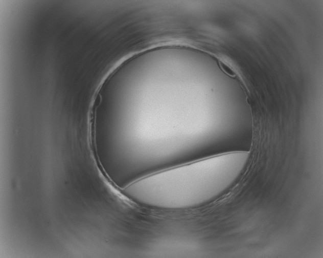 X0000075911151200609151031